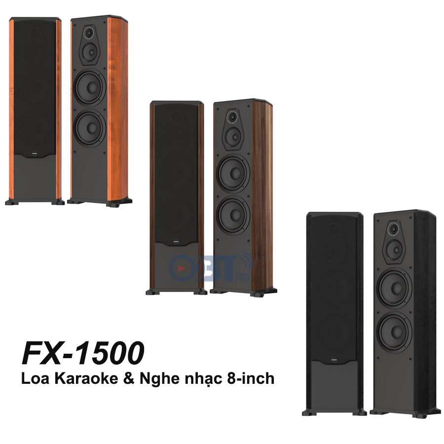 Loa karaoke Paramax FX-1500