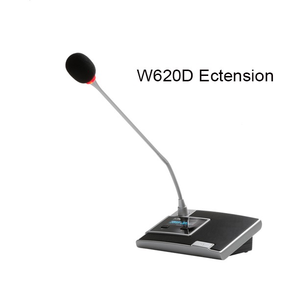 Micro Đại Biểu Soundking W620D