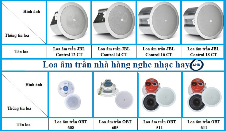 Loa âm trần nhà hàng 