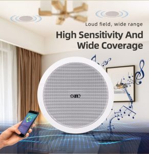 Loa âm trần không dây Wifi OBT WF4 nghe nhạc cực hay 
