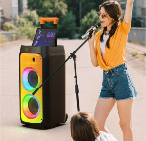 loa karaoke mini cao cấp công suất lớn